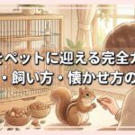 リスをペットに迎える完全ガイド：種類・飼い方・懐かせ方の秘訣