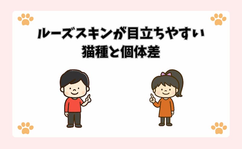ルーズスキンが目立ちやすい猫種と個体差