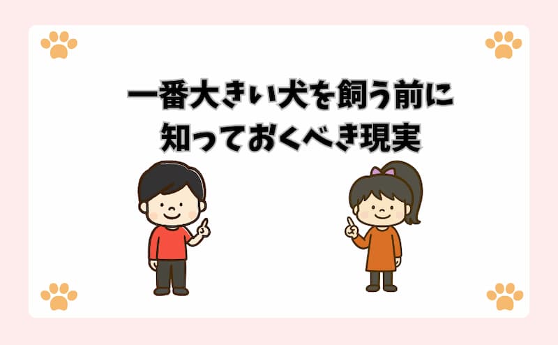 一番大きい犬を飼う前に知っておくべき現実
