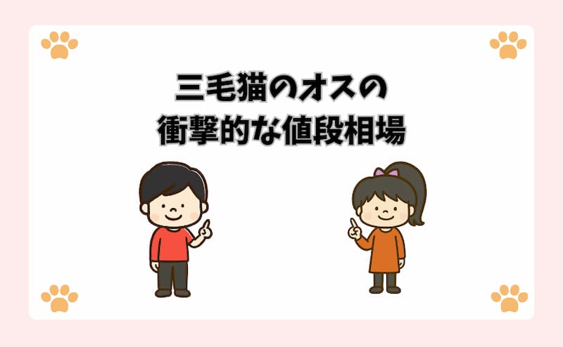 三毛猫のオスの衝撃的な値段相場