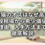 三毛猫のオスはなぜ高い？値段相場から希少価値の理由、入手方法まで徹底解説