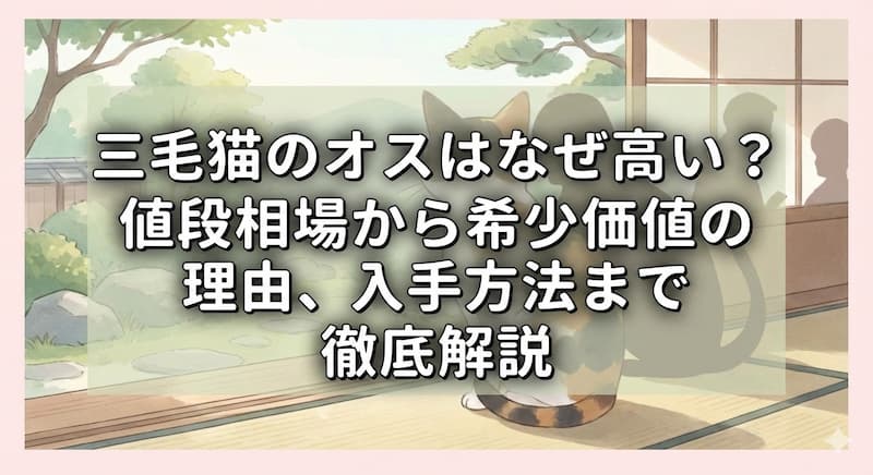 三毛猫のオスはなぜ高い？値段相場から希少価値の理由、入手方法まで徹底解説