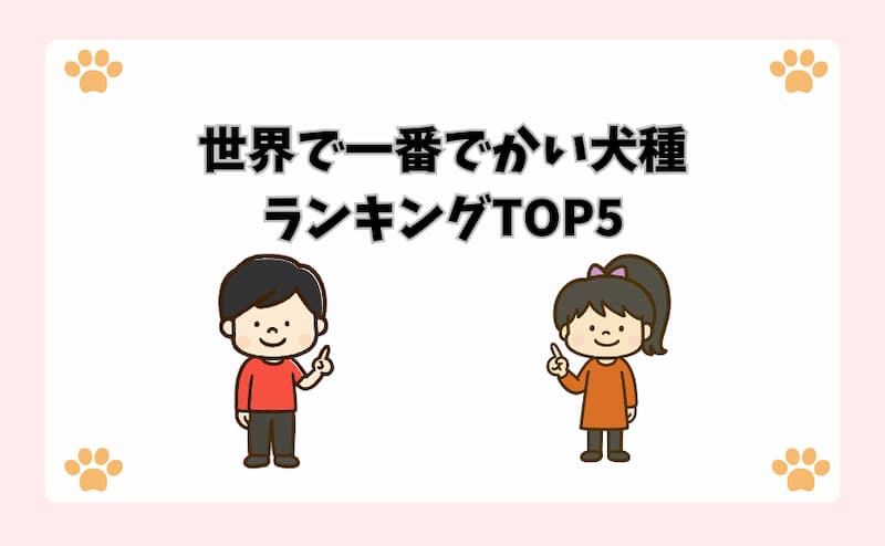 世界で一番でかい犬種ランキングTOP5