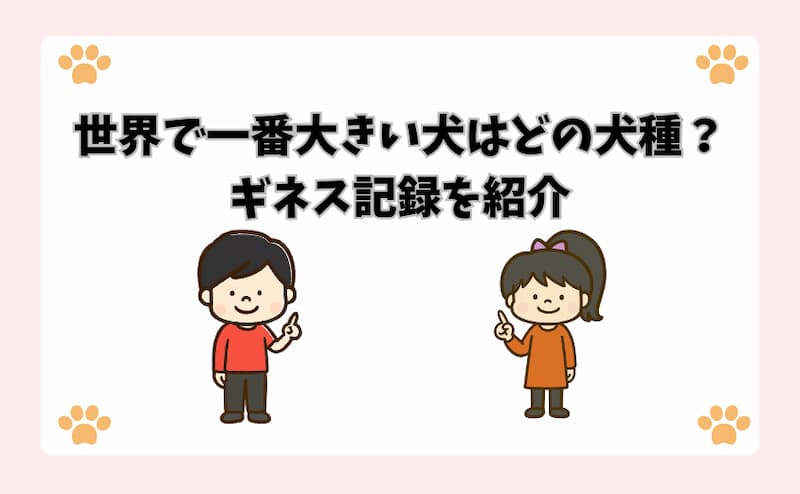 世界で一番大きい犬はどの犬種？ギネス記録を紹介