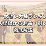 世界一大きい犬種ランキング！ギネス記録から寿命・飼い方まで徹底解説