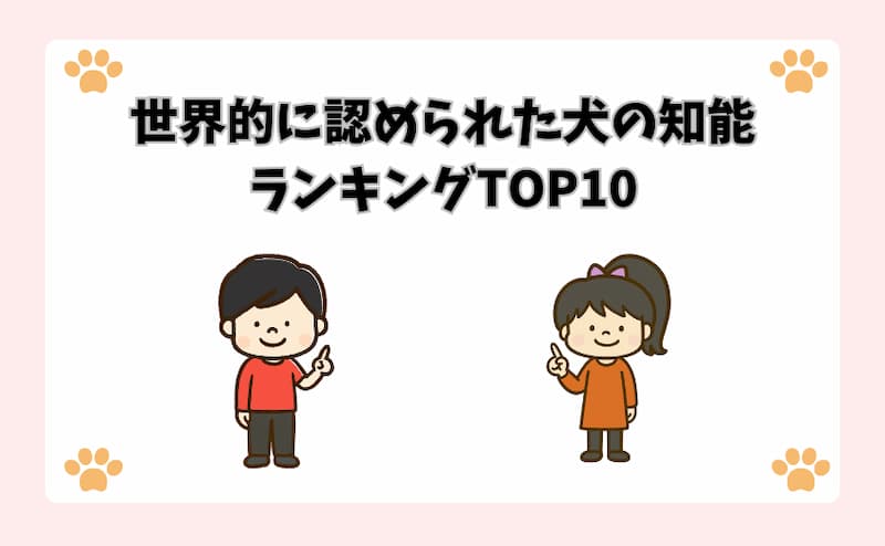 世界的に認められた犬の知能ランキングTOP10