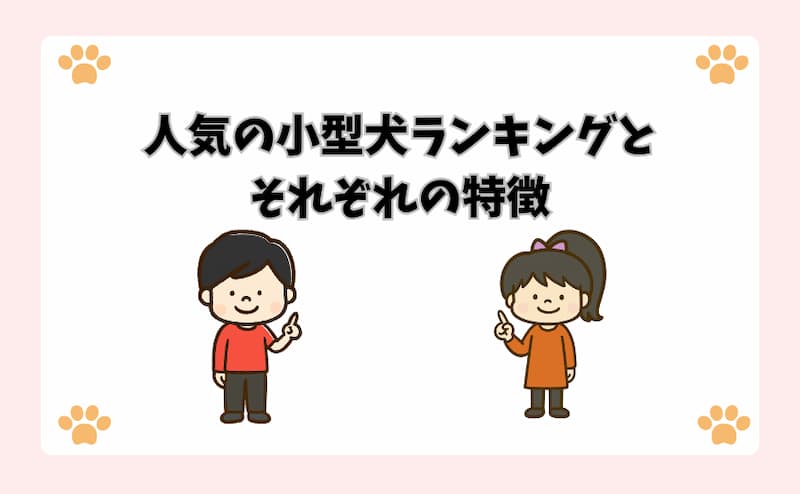 人気の小型犬ランキングとそれぞれの特徴