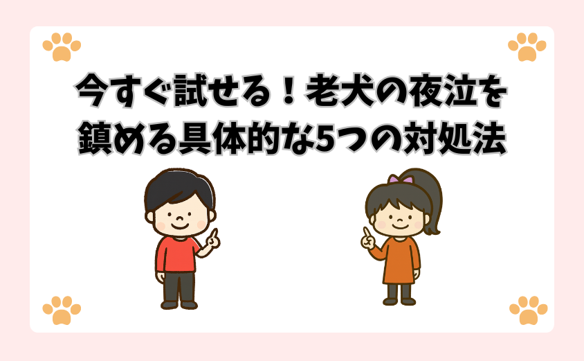 今すぐ試せる！老犬の夜泣を鎮める具体的な5つの対処法