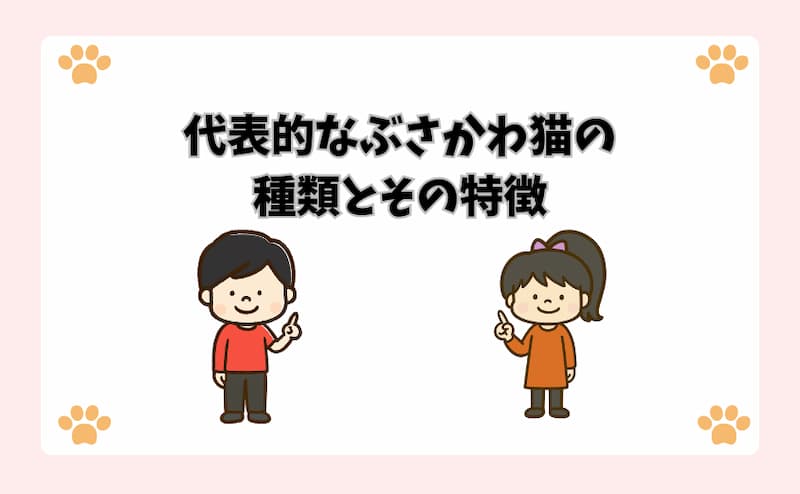 代表的なぶさかわ猫の種類とその特徴