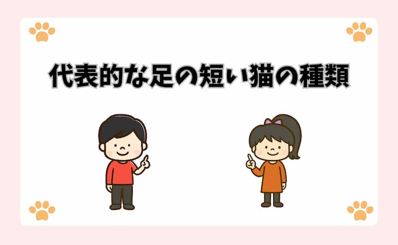 代表的な足の短い猫の種類