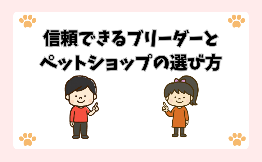 信頼できるブリーダーとペットショップの選び方