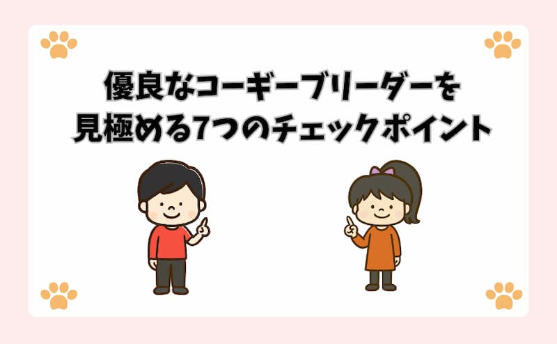 優良なコーギーブリーダーを見極める7つのチェックポイント