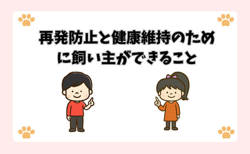 再発防止と健康維持のために飼い主ができること