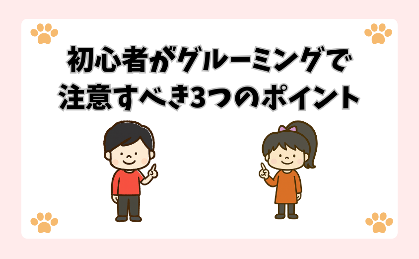 初心者がグルーミングで注意すべき3つのポイント