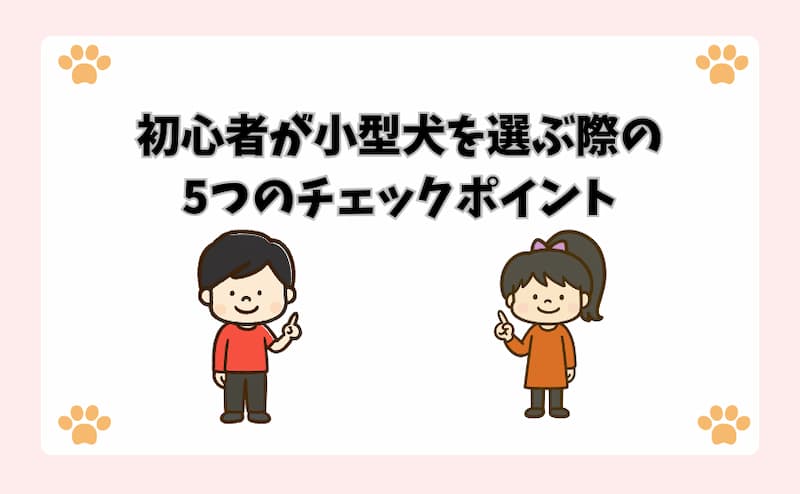 初心者が小型犬を選ぶ際の5つのチェックポイント