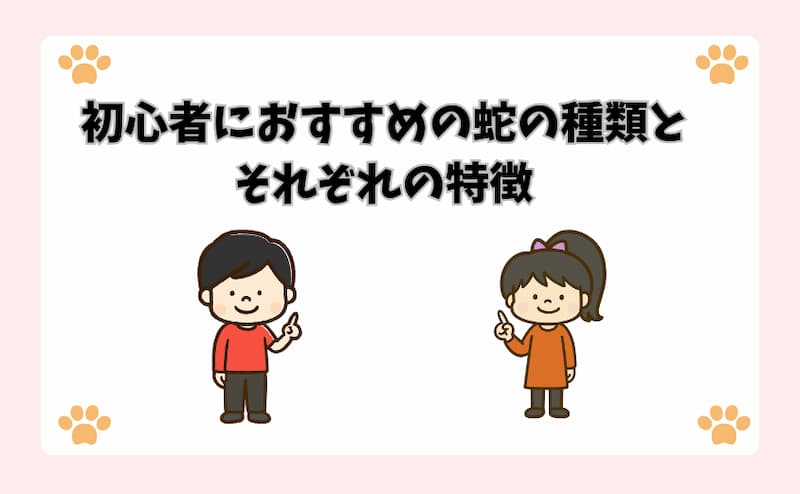 初心者におすすめの蛇の種類とそれぞれの特徴