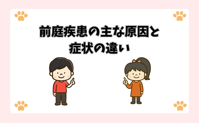 前庭疾患の主な原因と症状の違い