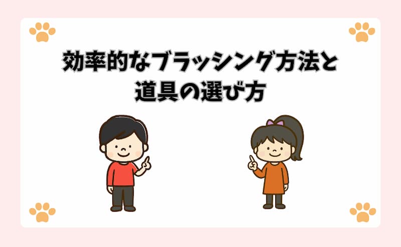 効率的なブラッシング方法と道具の選び方