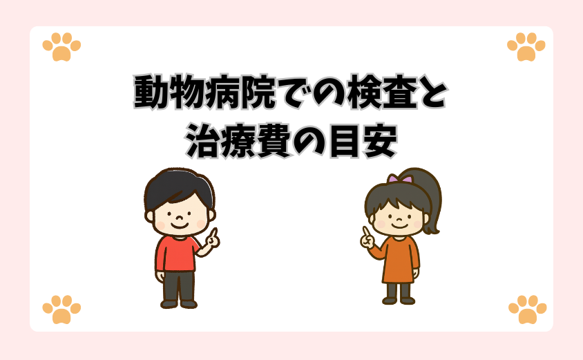 動物病院での検査と治療費の目安