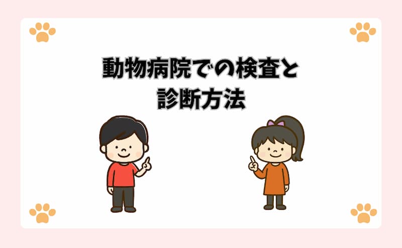 動物病院での検査と診断方法
