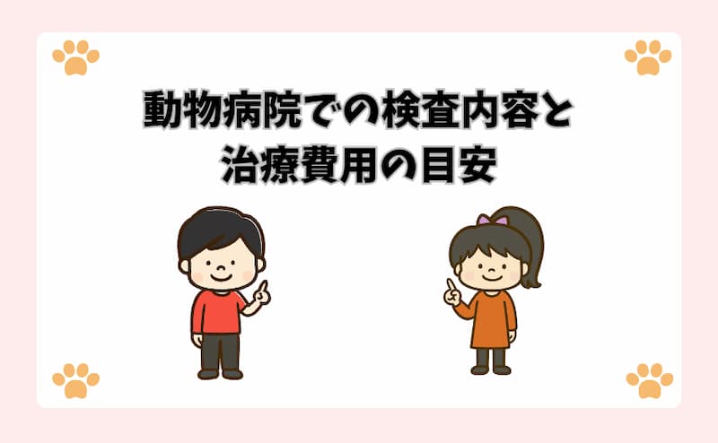 動物病院での検査内容と治療費用の目安