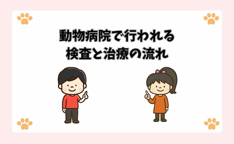 動物病院で行われる検査と治療の流れ