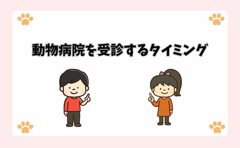 動物病院を受診するタイミング
