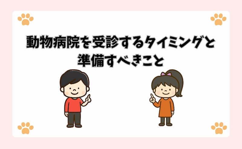 動物病院を受診するタイミングと準備すべきこと