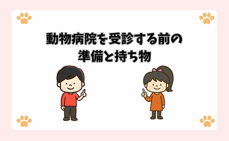 動物病院を受診する前の準備と持ち物