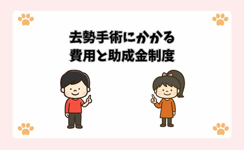 去勢手術にかかる費用と助成金制度