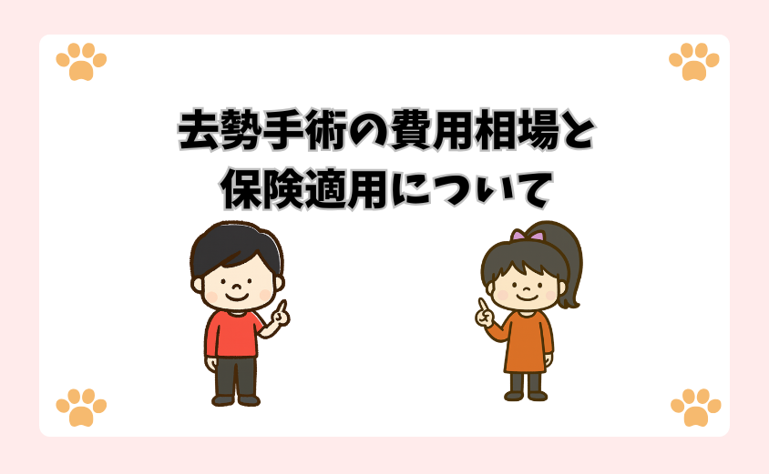 去勢手術の費用相場と保険適用について