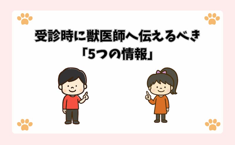 受診時に獣医師へ伝えるべき「5つの情報」