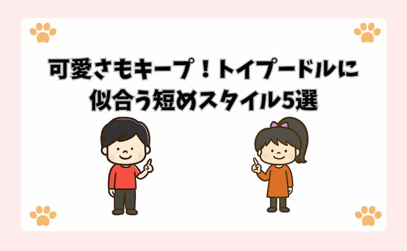 可愛さもキープ！トイプードルに似合う短めスタイル5選