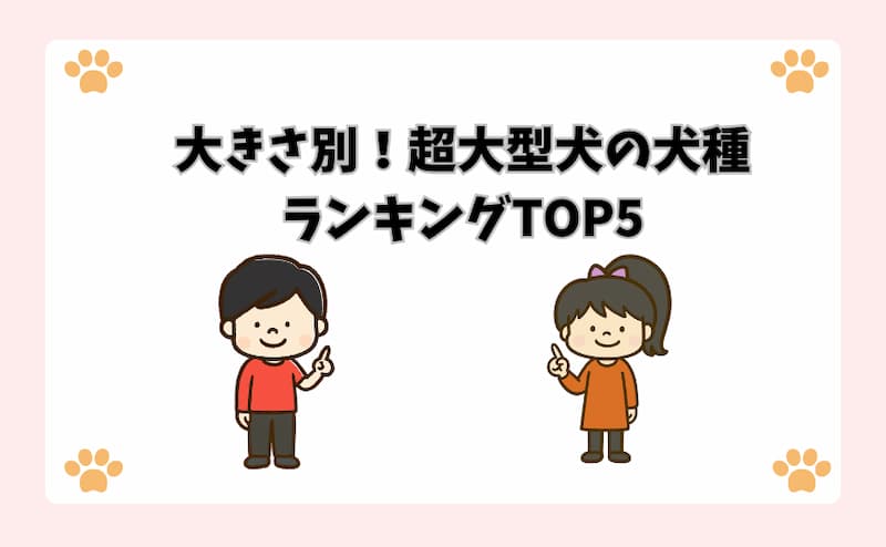 大きさ別！超大型犬の犬種ランキングTOP5