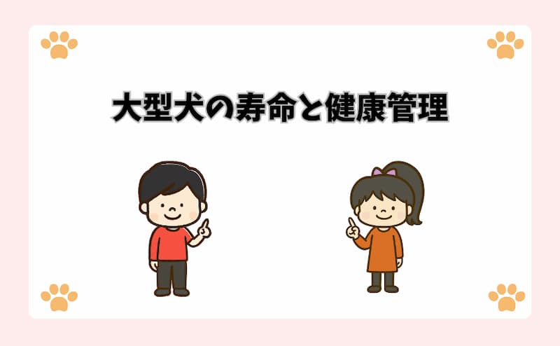 大型犬の寿命と健康管理