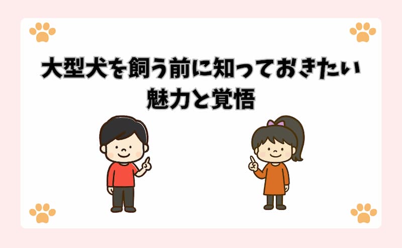 大型犬を飼う前に知っておきたい魅力と覚悟