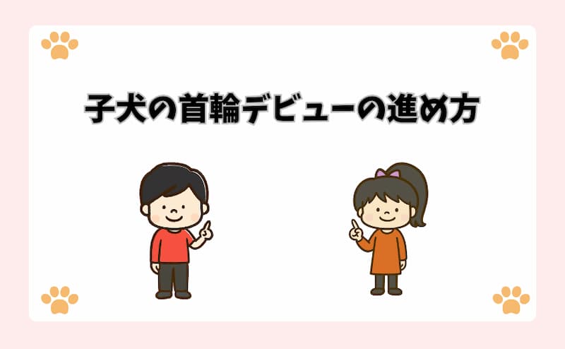 子犬の首輪デビューの進め方