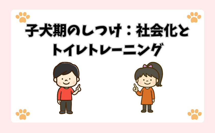 子犬期のしつけ：社会化とトイレトレーニング