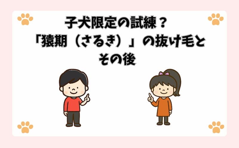 子犬限定の試練？「猿期（さるき）」の抜け毛とその後