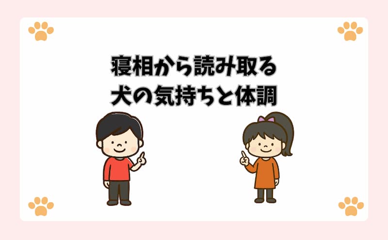 寝相から読み取る犬の気持ちと体調