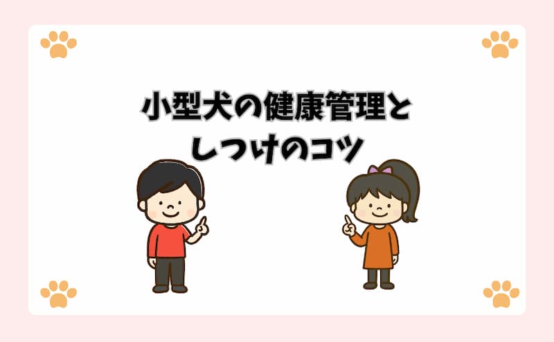小型犬の健康管理としつけのコツ