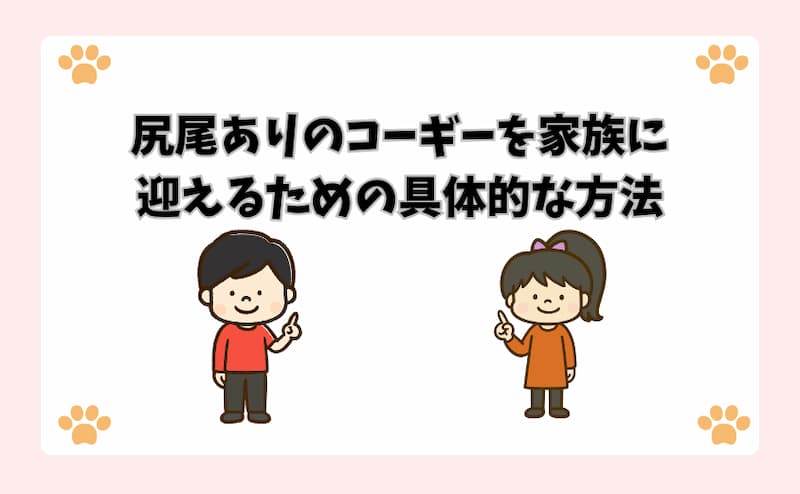 尻尾ありのコーギーを家族に迎えるための具体的な方法