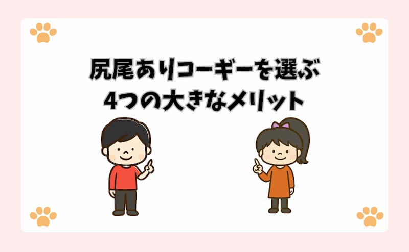 尻尾ありコーギーを選ぶ4つの大きなメリット