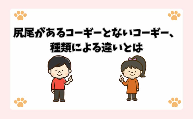 尻尾があるコーギーとないコーギー、種類による違いとは