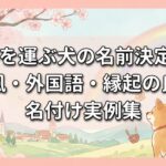 幸せを運ぶ犬の名前決定版！和風・外国語・縁起の良い名付け実例集