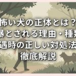 怖い犬の正体とは？凶暴とされる理由・種類・遭遇時の正しい対処法を徹底解説