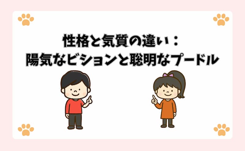 性格と気質の違い：陽気なビションと聡明なプードル