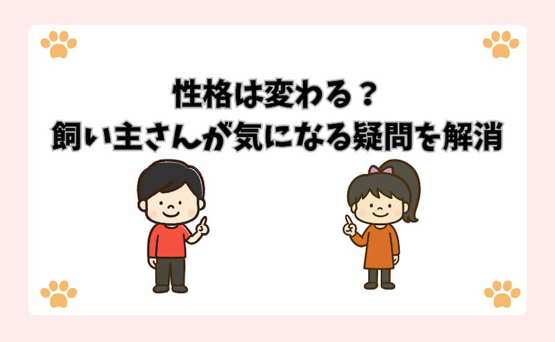 性格は変わる？飼い主さんが気になる疑問を解消