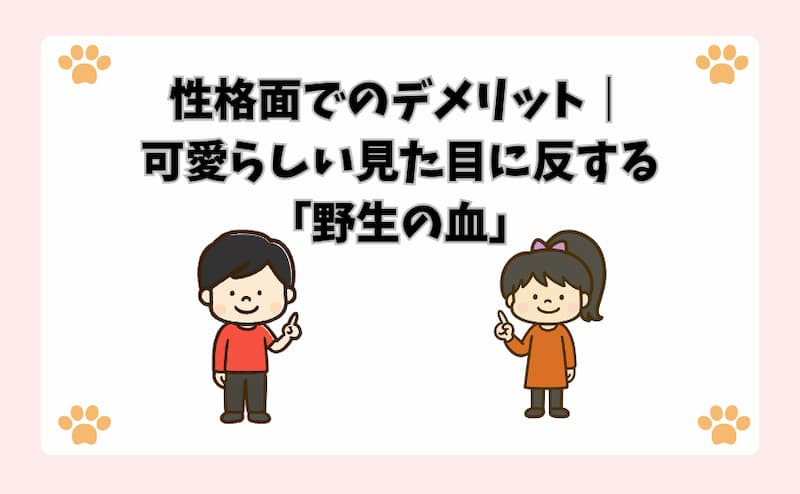 性格面でのデメリット｜可愛らしい見た目に反する「野生の血」
