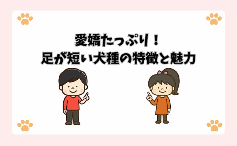 愛嬌たっぷり足が短い犬種の特徴と魅力